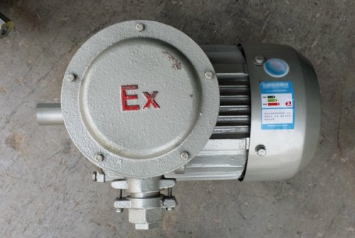 隔爆型電機(jī)