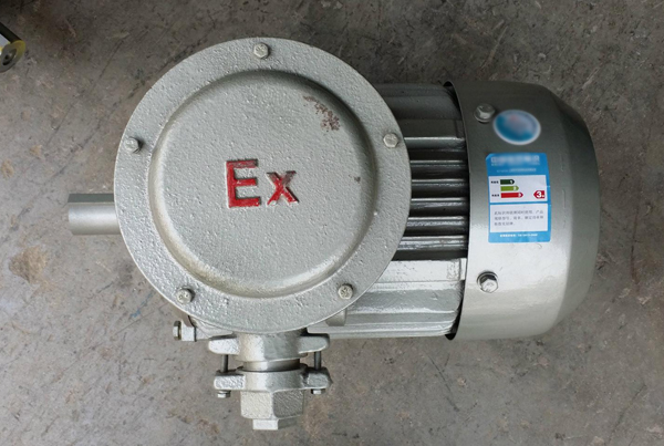 隔爆型電機(jī)