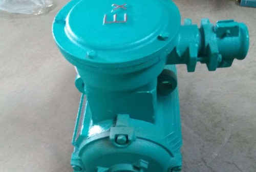 增安型防爆電機(jī)