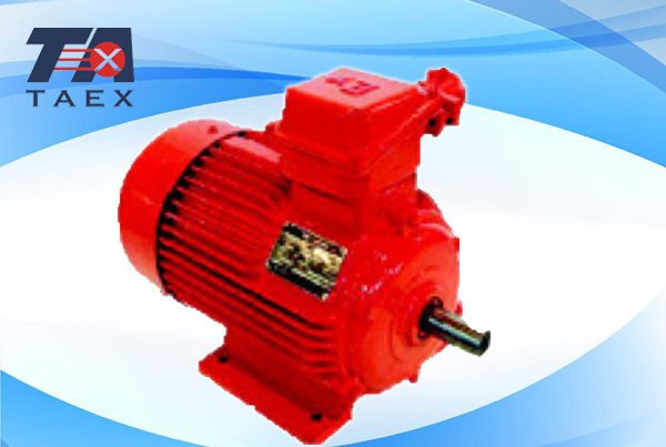 粉塵防爆電機(jī)